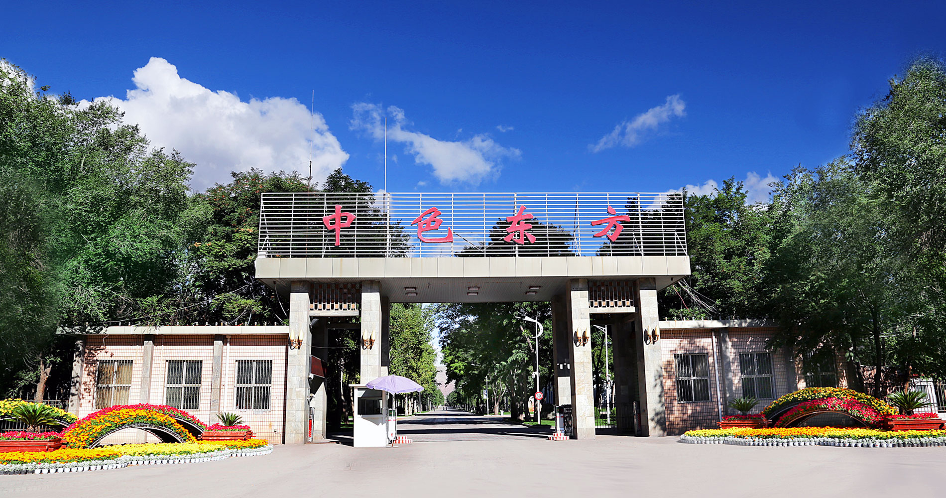 公司治理 