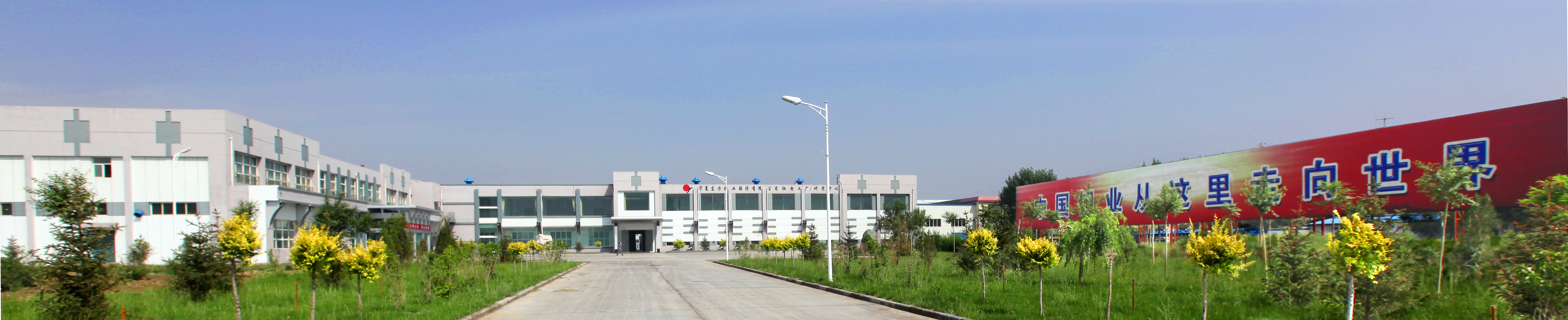 組織機構(gòu) 